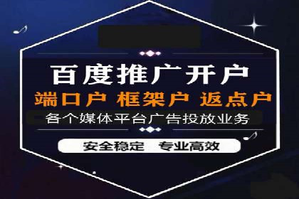 百度竞价推广成功案例解析